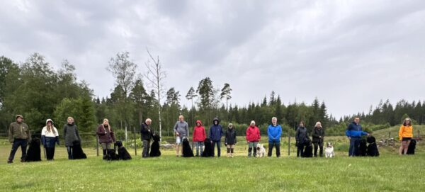 De flesta som var med på SM Träff 2024